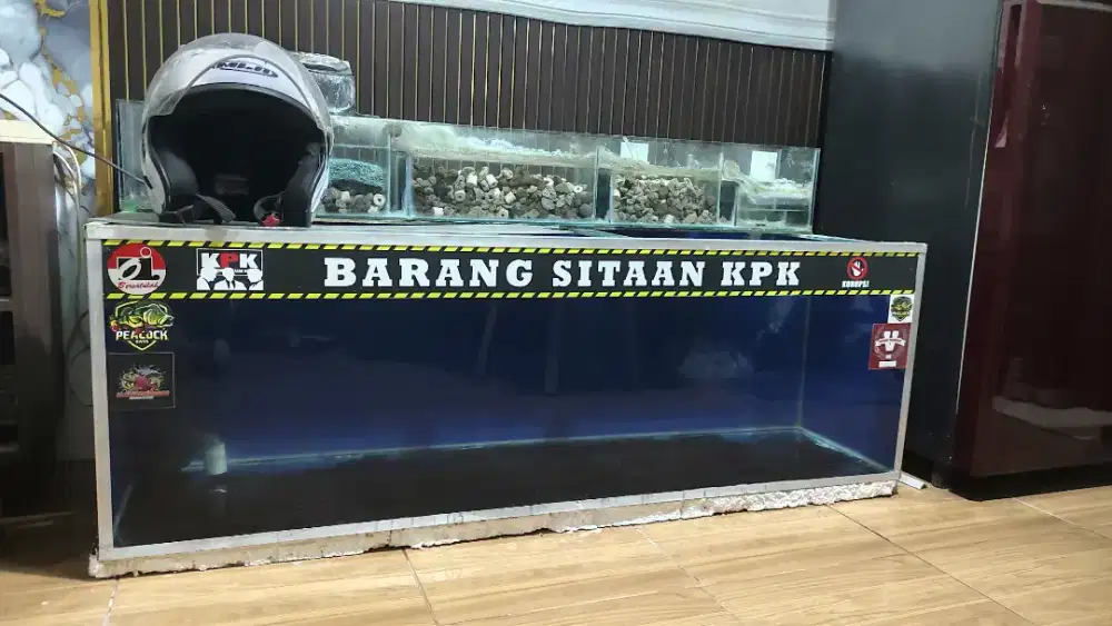 Aquarium 140x49x47 fulset tinggal colok