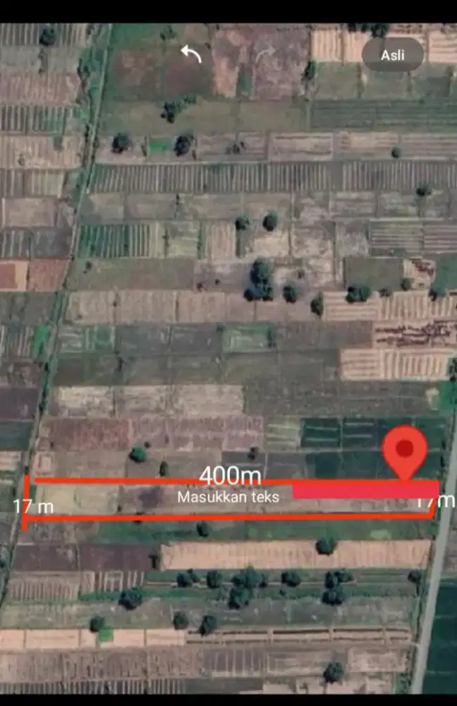 jual tanah sawah dekat dengan kota baru Driyorejo Citraland