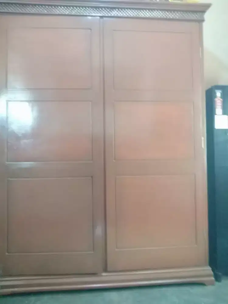 Lwmari masih baru 6 bulan