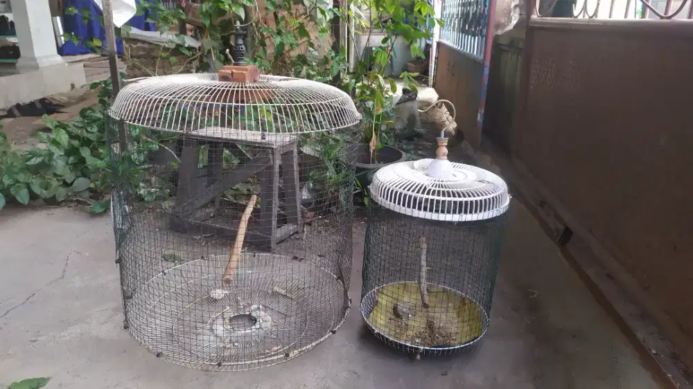 Sangkar rakitan ram kawat