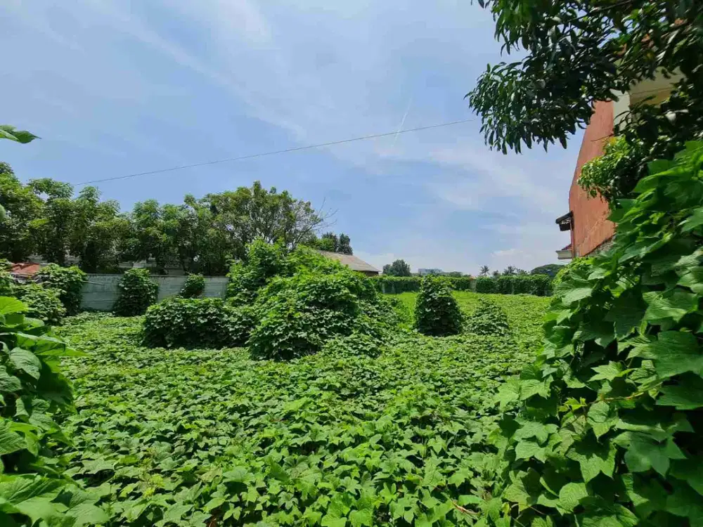 DIJUAL TANAH SIAP BANGUN SHM DI BOJONG RENGED TELUK NAGA TANGERANG