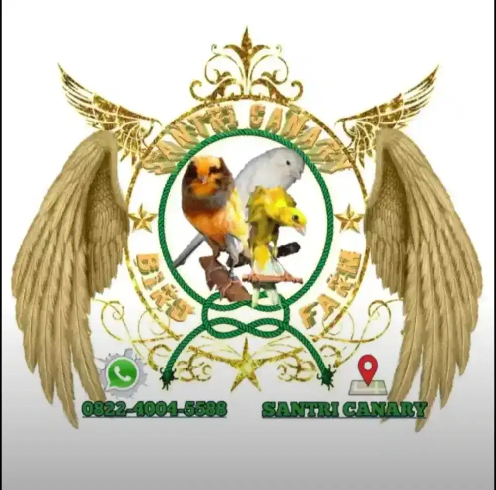 burung kenari serian
