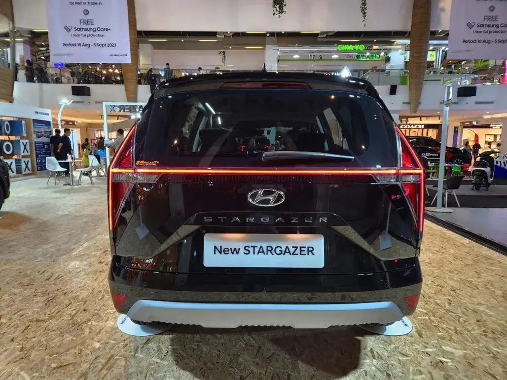 STARGAZER ESSENTIAL NIK 2026
