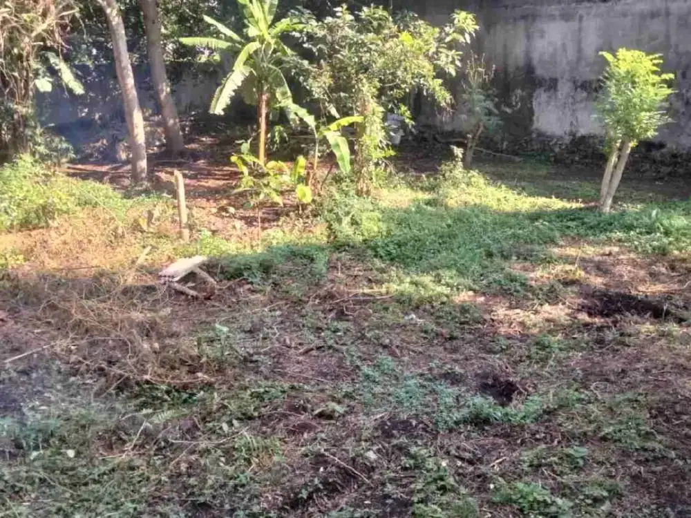 Tanah kosong Datar daerah perumahan Elite Bagus untuk Tempat tinggal/ KostAn