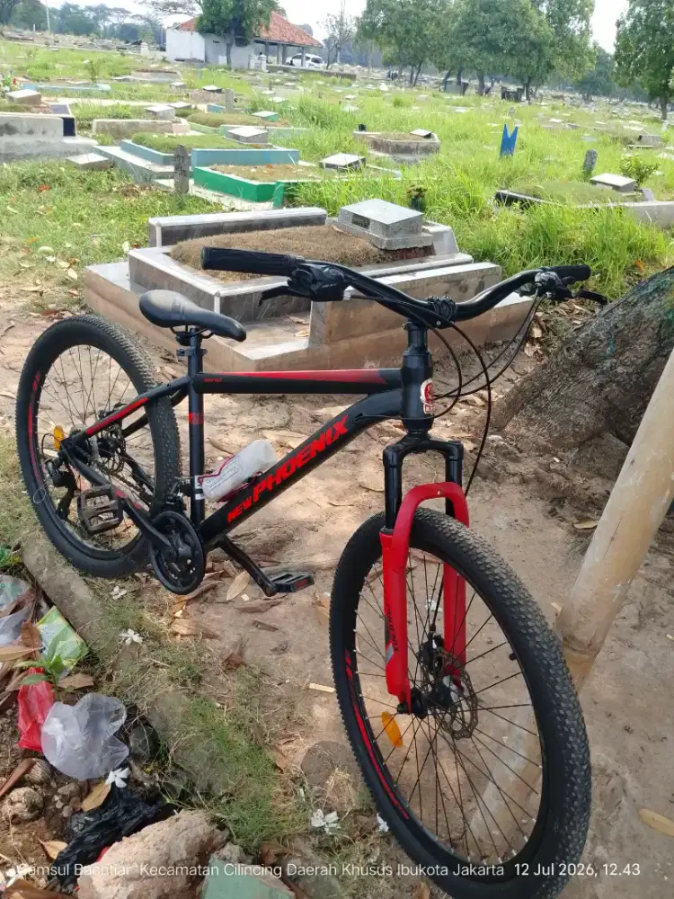 Jual sepeda new phoenix