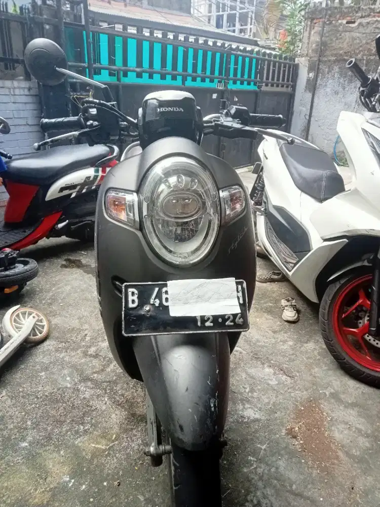 HONDA Scoopy 2019