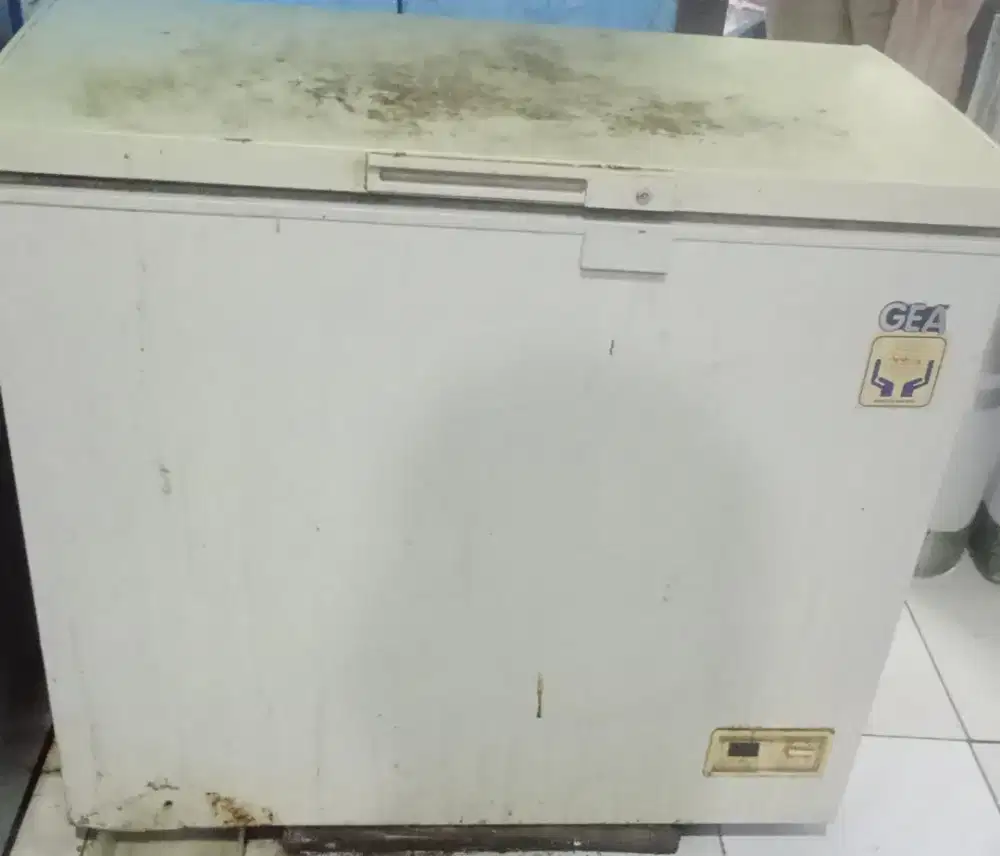 Freezer GEA 300 lt
