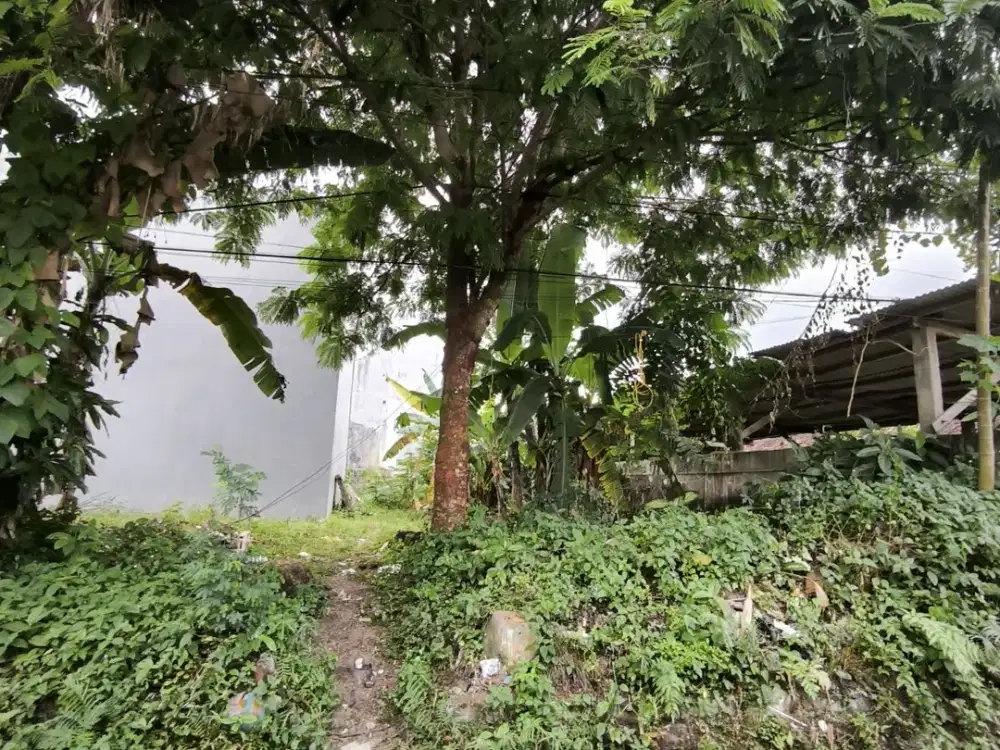DI Jual Tanah Strategis Dekat Kampus UGM, Area Jalan Kaliurang  KM.6,5 Condongcatur Depok Sleman