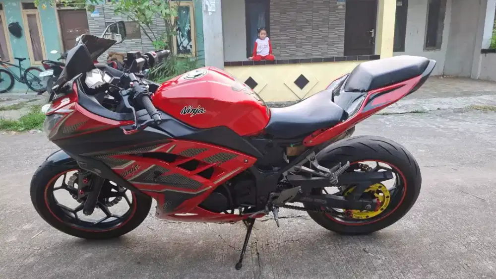 kawasaki ninja f1 250cc