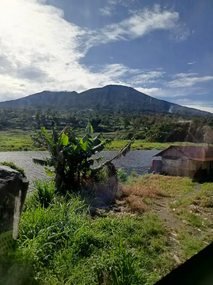 Dibutuh karyawan chiken