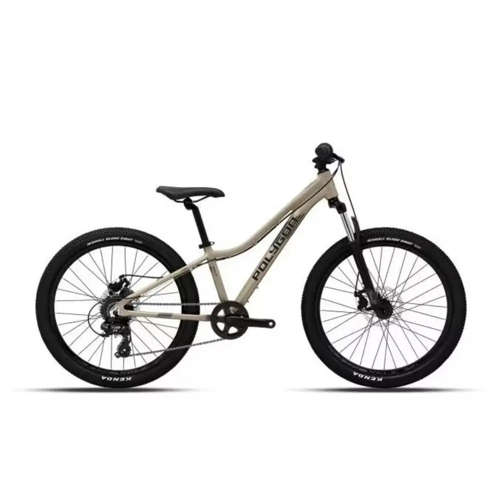 Sepeda Polygon MTB Relic 24 Remaja