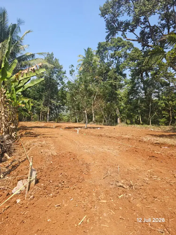 Tanah Murah Gunungpati Semarang nempel jalan