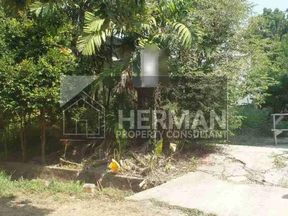 Tanah Tembalang Bulusan Utara Undip