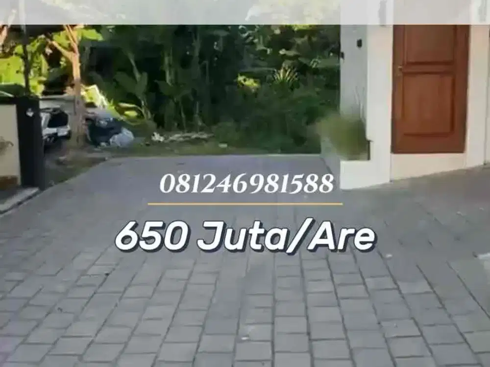SALE Tanah View Jungle Padonan Dekat Berawa