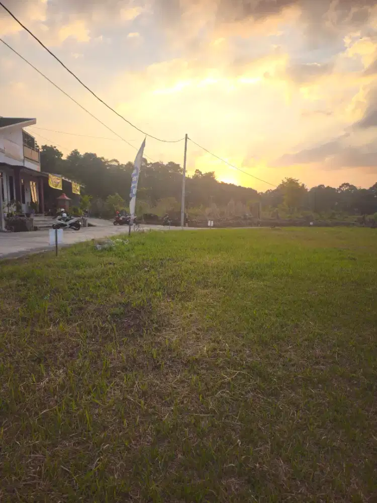 Tanah Kavling Murah Semarang Lingkungan Pemukiman