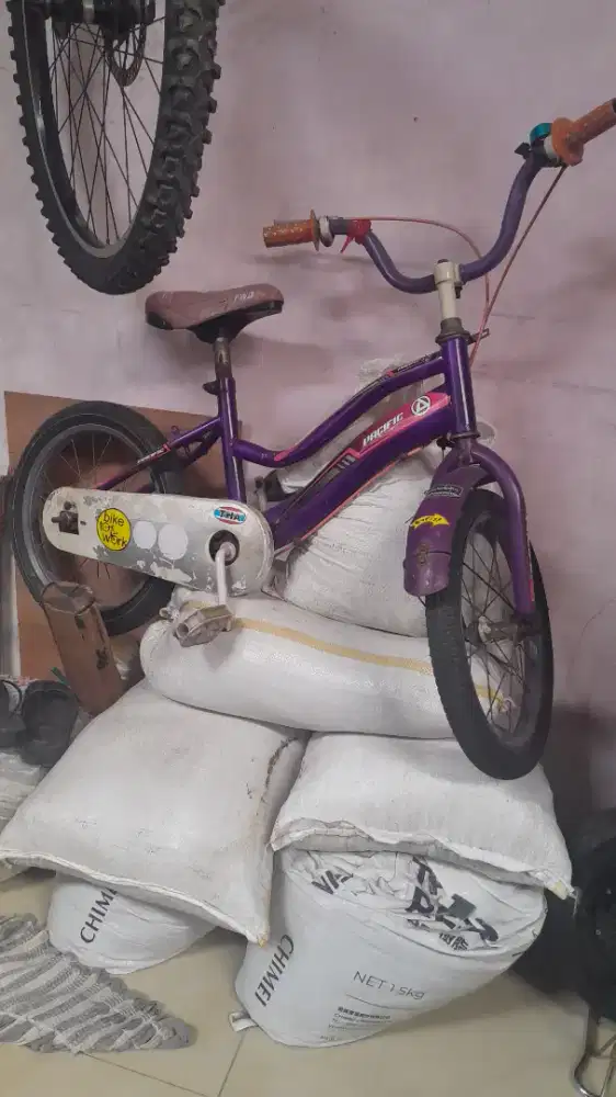 sepeda anak 16 inch