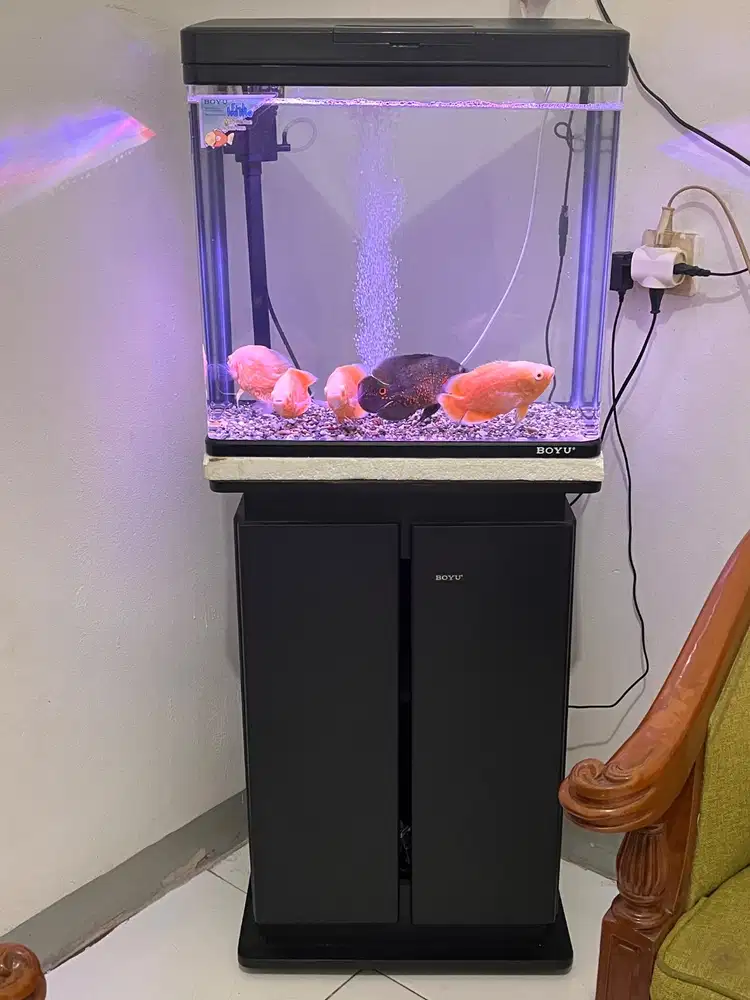 Aquarium Boyu full set