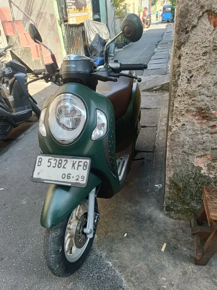 scoopy  cyles 2024 greees