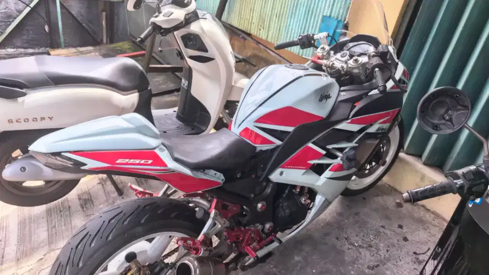 Kawasaki Ninja 250 FI