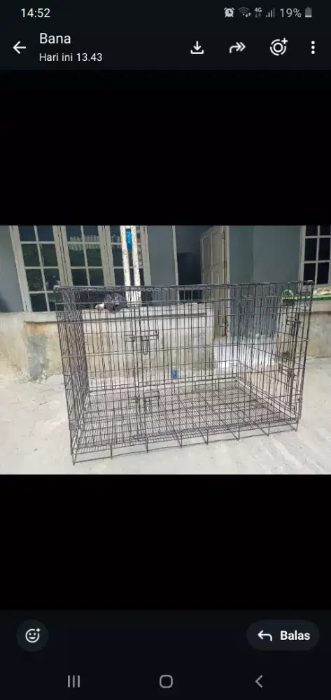 Kandang anjing dll