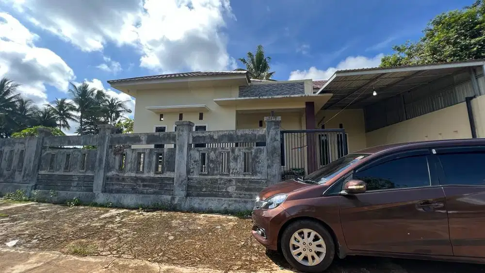 DISEWAKAN DAN DIJUAL RUMAH DI PELAIHARI