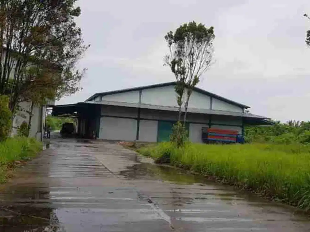 Jual Murah Gudang Pontianak 1.6Ha, Jual Hitung tanah 990rb/m²