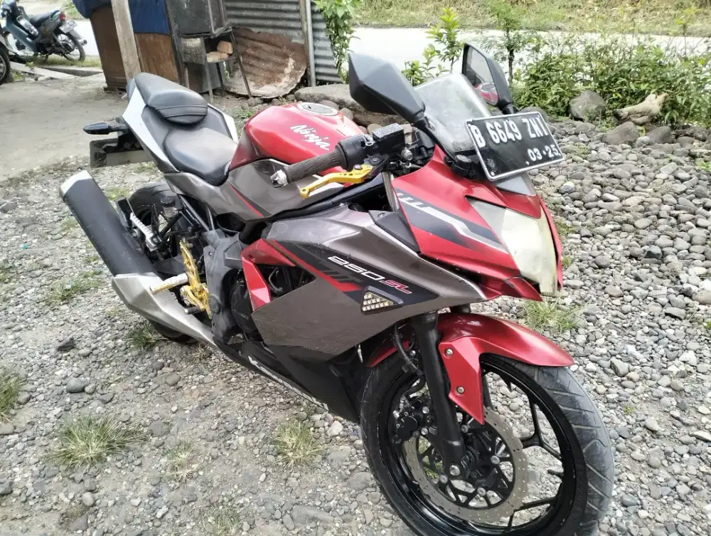 Ninja mono 250 sl