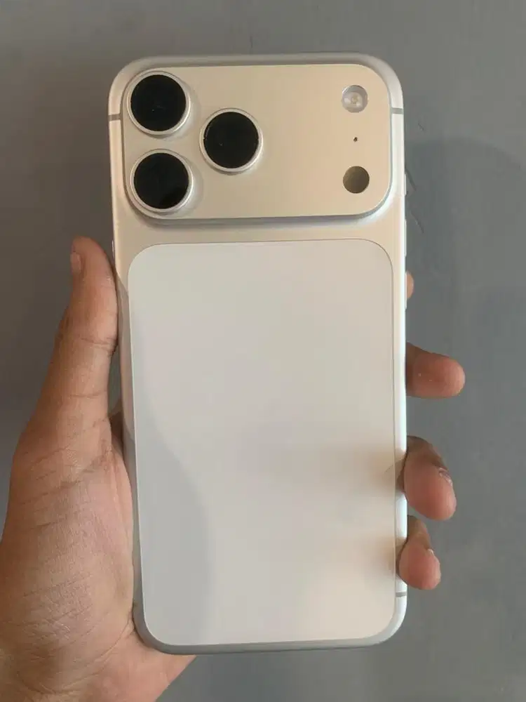 17 Promax Silver 256GB ibox