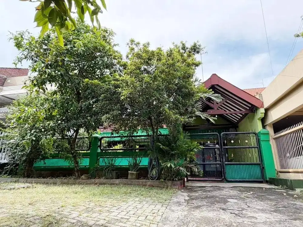 MURAH (12x25) Di Bendul Merisi