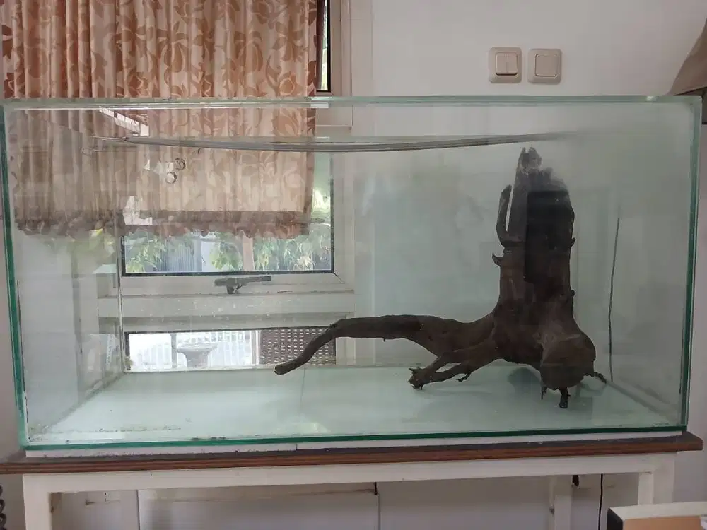 AQUARIUM uk .100x50 (pxl)