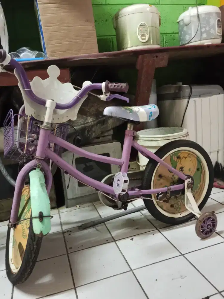 Sepeda roda 2 dan family roda 3