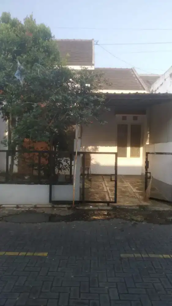 Rumah dekat plaza araya malang