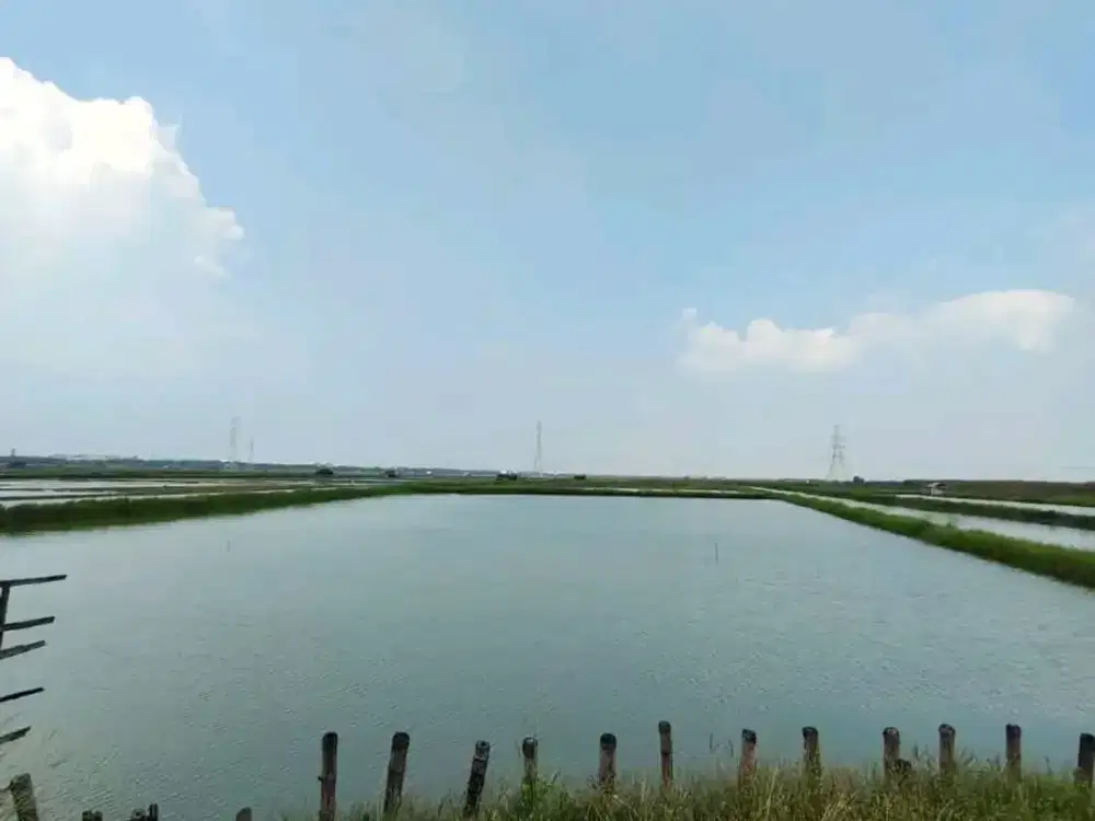 Tanah 4.3ha murah di Benowo dekat GBT Surabaya