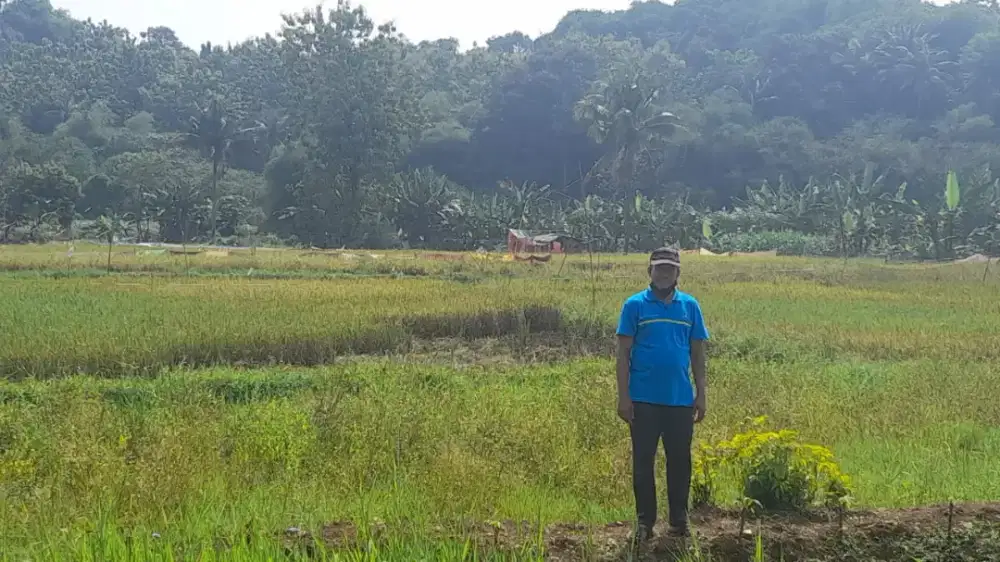 Tanah sawah SHM 823 m2 di Bogor kota Bogor barat semplak