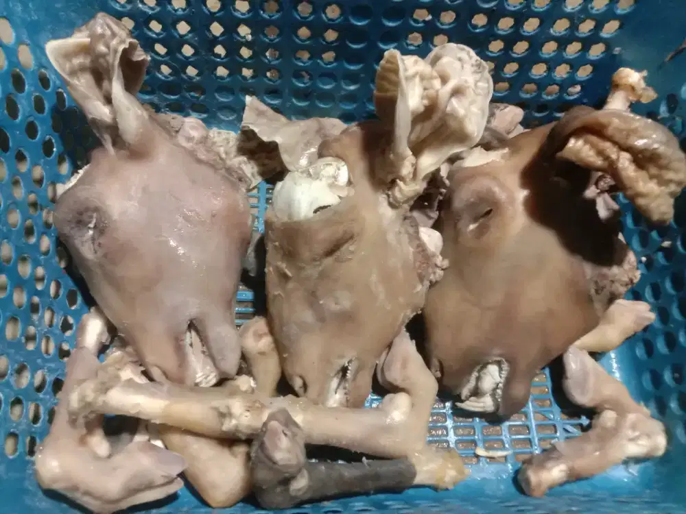 Kepala+kaki kambing dll
