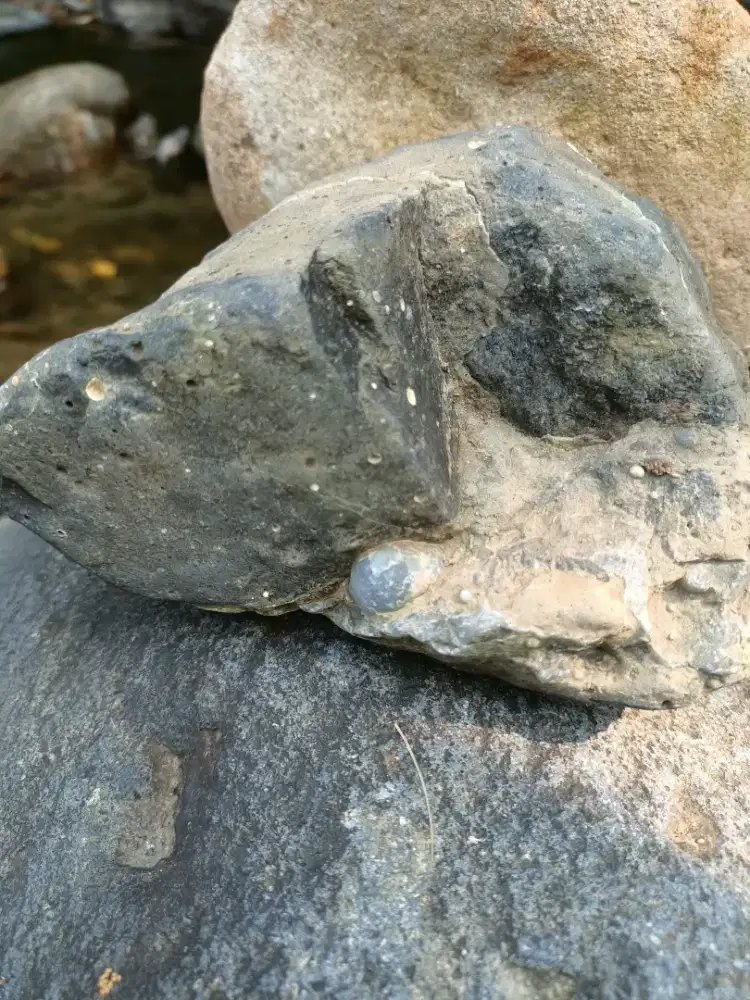 Batu Akik di atas Batu