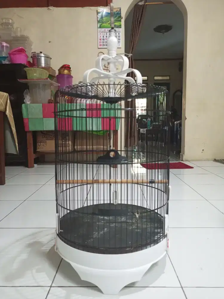Cari barteran kandang kotak no2