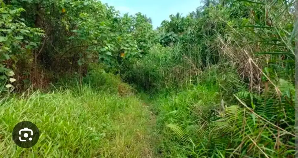 Tukang ngored ngarit macul kebon