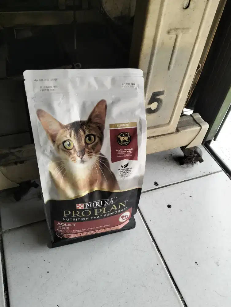 Makanan Kucing murah Pro Plan Kitten salmon 1,5 kg