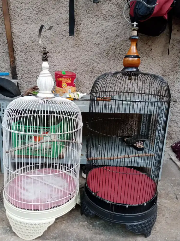 Kandang burung Lovebird dua buah