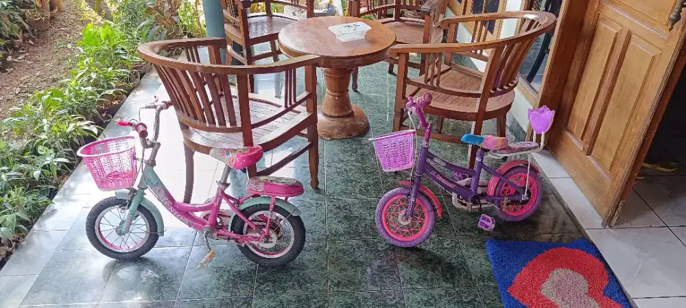 Sepeda Anak Perempuan (2 unit)