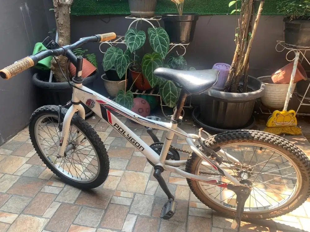 Sepeda Polygon 20