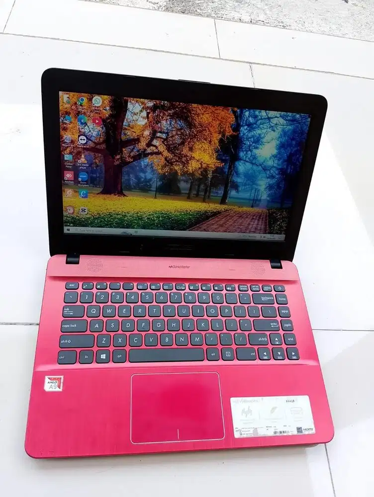 ASUS X441B AMD A9 GEN 9 RAM 4GB HDD 500GB