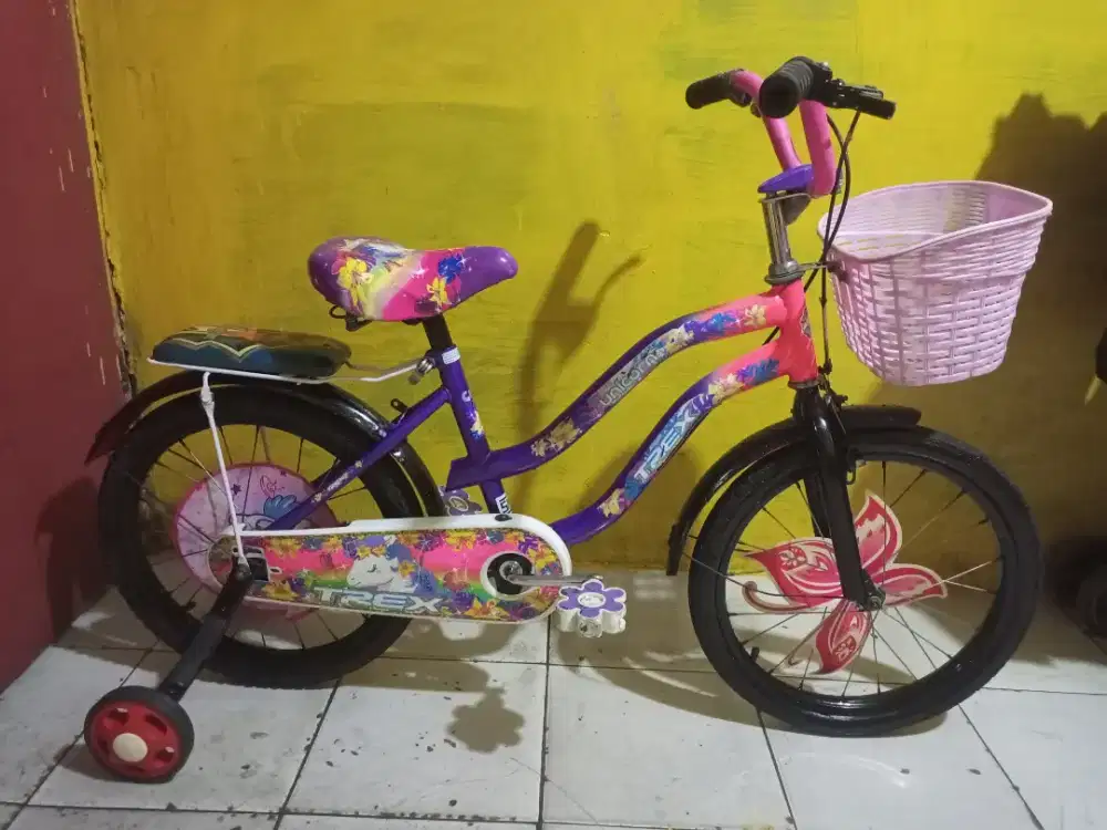 SEPEDA ANAK CEWEK UKURAN 18 PLUS RODA BANTU KOKOH SIAP PAKAI