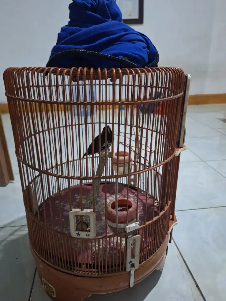 Anis kembang full set ring kholik malang