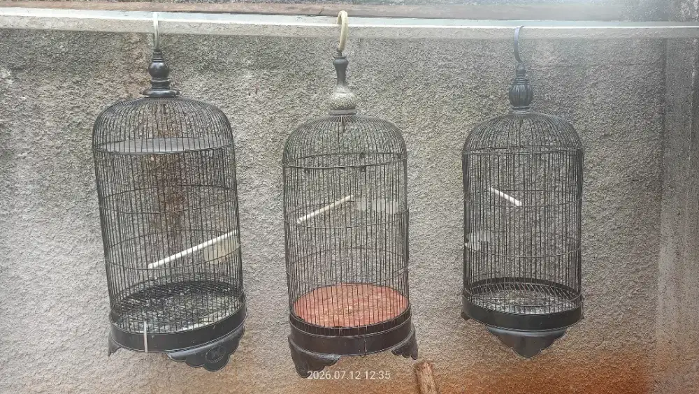 Kandang burung kapsul