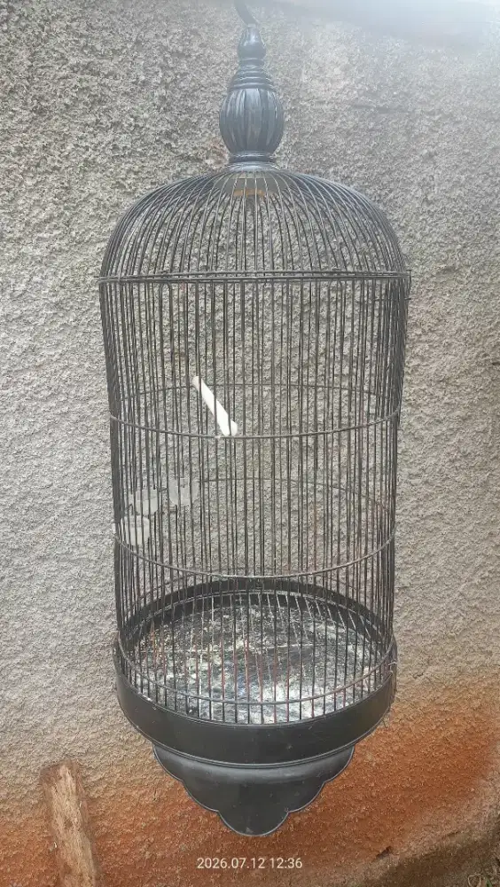 Kandang burung kapsul