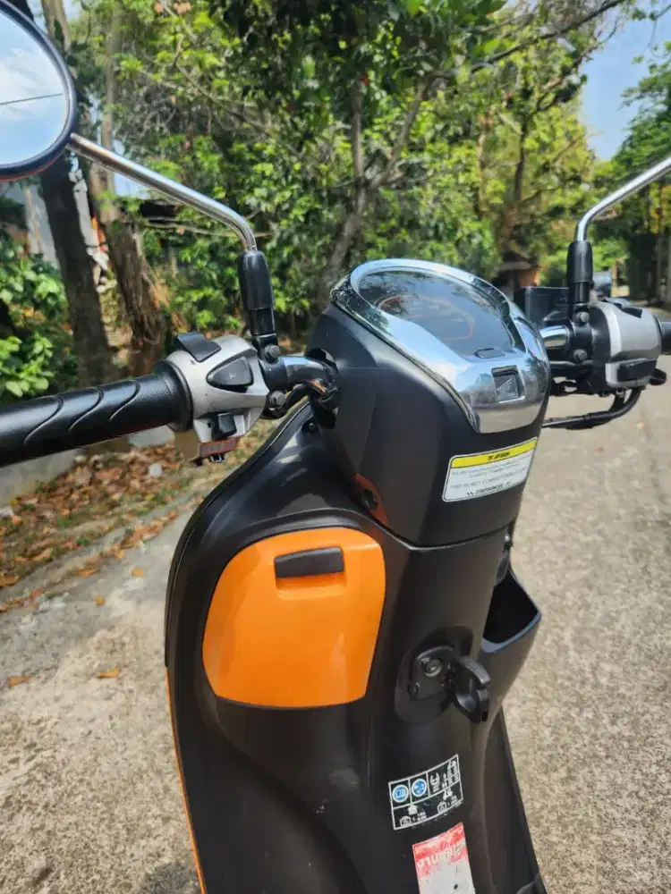 Scoopy Coll 2022