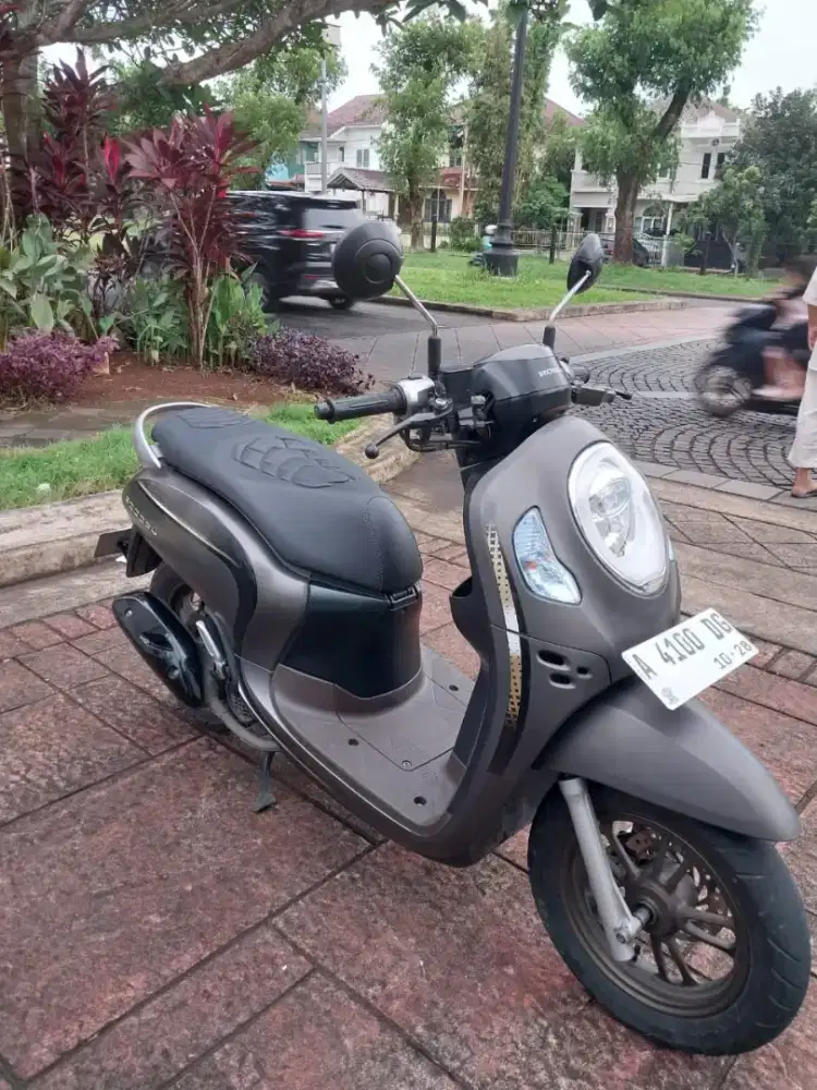 Honda Scoopy Stylish 2023