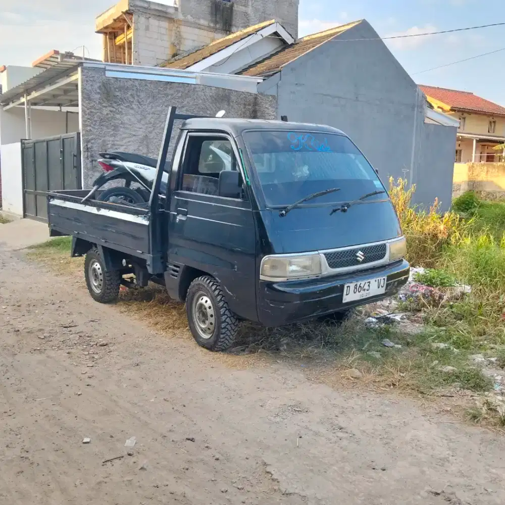 Futura pick up 2010 negoo